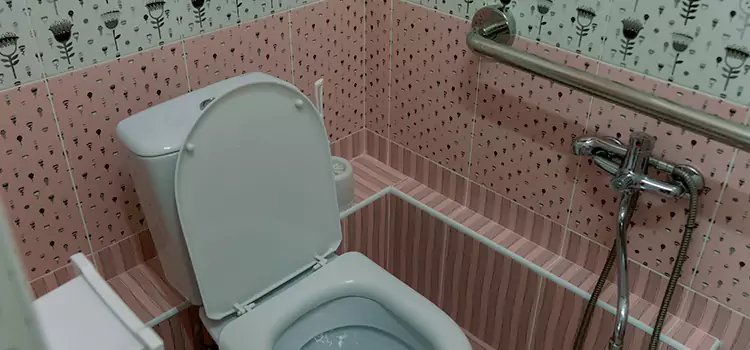 Meeting Diverse Needs With Accessible Restroom Solutions in Garland, TX